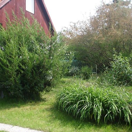 Podhajska Ubytovanie - D&B Konecna Trávnica Exterior foto